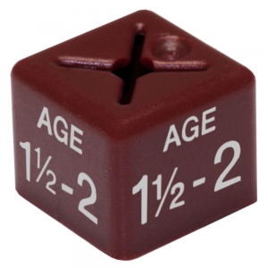 Coat Hanger Size Cubes Childrenswear Dual AGE 1.5-2 MAROON - Pack 50