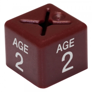 Coat Hanger Size Cubes Childrenswear AGE 2 MAROON - Pack 50