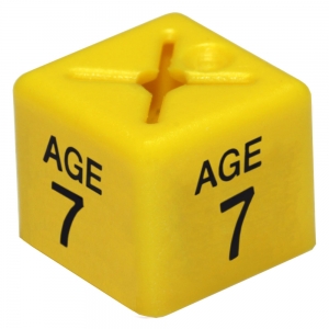 Coat Hanger Size Cubes Childrenswear AGE 7 YELLOW - Pack 50