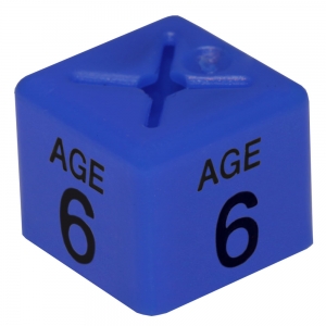 Coat Hanger Size Cubes Childrenswear AGE 6 BLUE - Pack 50